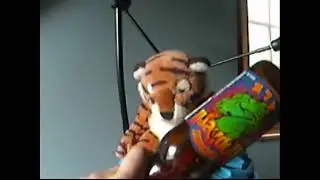 Animal Abuse | Very Shocking Video Tiger Cub
