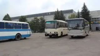 история ЛАЗа и новые автобусы