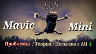 Dji Mavic Mini. Проблемы, Теория, распаковка с Ali