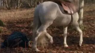 Горец-Highlander  5 сезон  16 серия