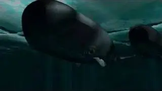 Storm: Spermwhale escapes