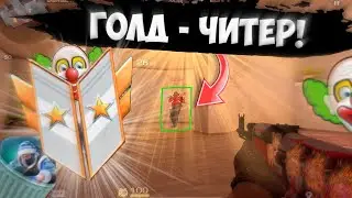 подписчик ГОЛД-ЧИТЕР🤡 / демка с голосом