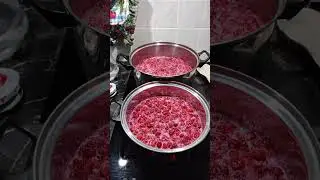 Лесная малина