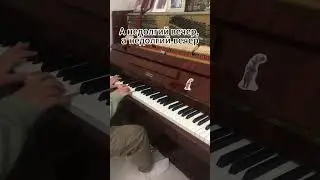 Седая Ночь Юрий Шатунов на пианино. 