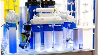 Osmosis: Movements through Cell Membranes
