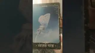 🦋МУДРОСТЬ ДНЯ🦋 #любовьидуша #tarot