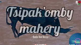 Tsipak’omby mahery (Rdb) #gasyrakoto