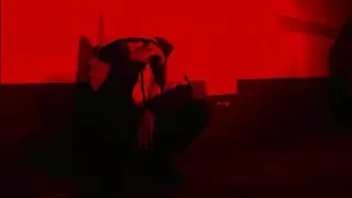 ERICK HERVÉ - MCNULTY