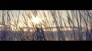 25/17 - Собака (DJ Navvy mix)
