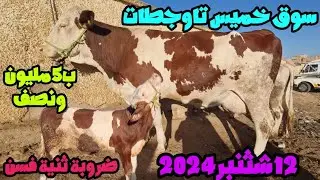 سوق خميس تاوجطات لبقرات حليب وعجول وعجلات كسابيين 2024/09/12