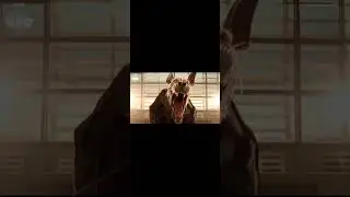 Sutekh’s such a b***h… 🐾🐕‍🦺 (🚨#SUTEKHFANCAM SPOILERS FOR #DOCTOR WHO #EMPIREOFDEATH 🚨) #doctorwho