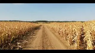 Полето край село Ветринци през септември - 15.09.2020 г.