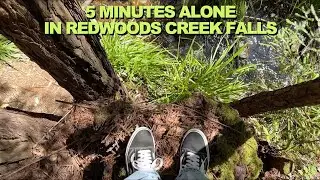 Redwood Falls
