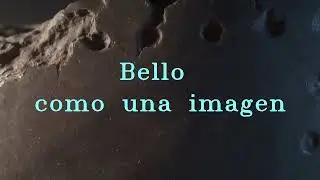 Caravan Palace - April (Sub. Español)
