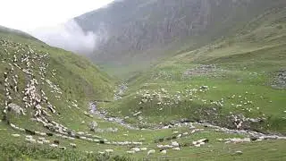 БАРАШКИ