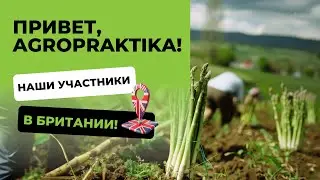 Привет, Agropraktika!