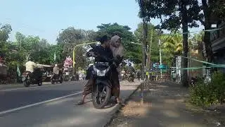 Video Suasana Pagi Wisuda Pondok Putri Roudhlotul Ulum Besuk Tanggulangen Kejayan Pasuruan