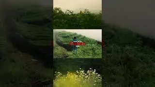 Color grading part 1 #tutorial #egarmasagi #colorgrading
