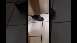 Tinder Dates Under the Stall
