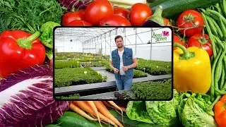 Srdcom záhradník - Dopestujte si vitamíny vo vlastnej záhrade - vlastná zelenina podporuje imunitu!