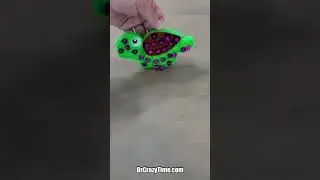 Turtle with Purple Jingle Bells