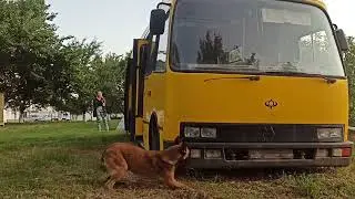 Олимпия малинуа в работе, поиск ВВ, ВУ