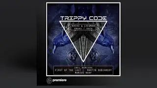 Premiere: Wacko & Leedman - Enshi (Original Mix) - Trippy Code