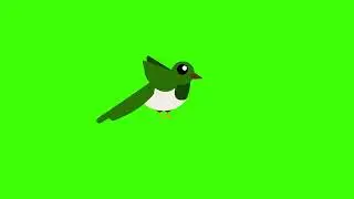 Bird Green Scene animation video, Birds Flying Green Screen HD video, #Birds Flying Green Screen