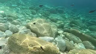 Petani beach Kefalonia 1