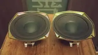 НЧ/СЧ динамики Technics 12PL12E3