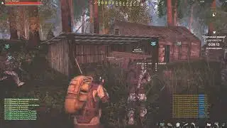 ЗлыеБудни. Stalker Online / Stay Out