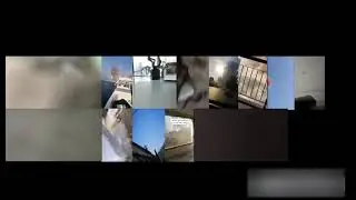 23 Beirut Explosion Videos Synced