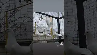 22 марта 2024 г.
