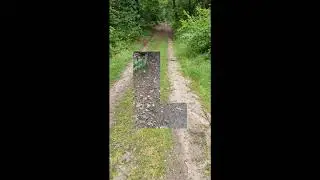 Nacktwandern auf dem Naturistenweg in Undeloh (Niedersachsen) im Juni 2021