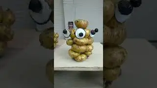 14 мая 2024 г.