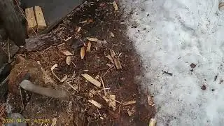 Ранее, не опубликованное