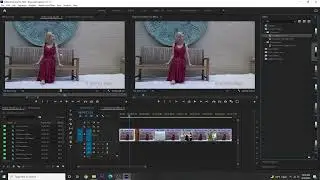 Adobe Premiere Pro Chapter 12.5 applying master clip effects
