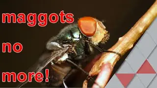 no more nasty maggots in your trash ever again!