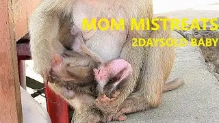 So Bad Mom  Mother Warns 2Daysold Baby, He Is Too Young Why Mistreats Strongly Like This?