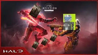 Halo Infinite | Ninja slayer