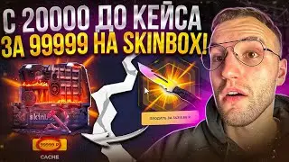 С 20000 до КЕЙСА за 99999 на SKINBOX! Такого окупа на скинбокс у меня еще не было!