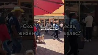 Сколько надо $ в месяц на жизнь в ЛА #жизньвамерике #лосанджелес #жизньвсша