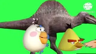 Stampede Green Screen Round 3