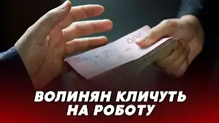 💸💰Волинян запрошують НА РОБОТУ у Луцьку та в області