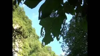 Голос Андромеды Дает ясность Сознания.