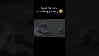 Римуру в лесу 😅 
