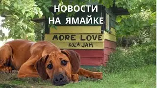 Жизнь на Ямайке (промежуточные итоги) #ямайка #жизньвэмиграции #иммиграция