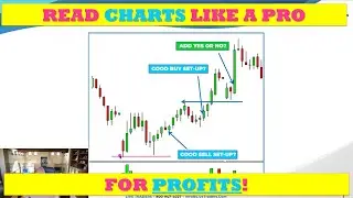 How to READ & PROFIT from STOCK CHART's Like a PRO!