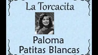 La Torcacita:  Paloma Patitas Blancas.