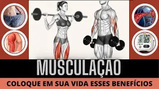 Conheça os Benefícios da MUSCULAÇÃO! para sua SAÚDE! Nesse Vídeo!
